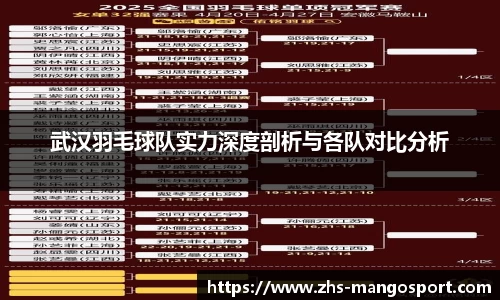 武汉羽毛球队实力深度剖析与各队对比分析